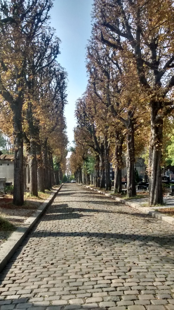 IMG_20151004_131537782_HDR