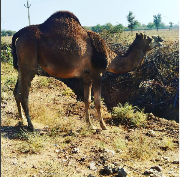 screen-shot-2017-02-04-at-1-28-24-pm