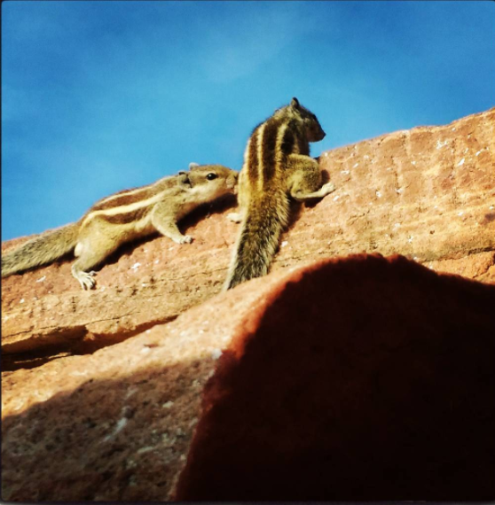 screen-shot-2017-02-04-at-1-29-59-pm